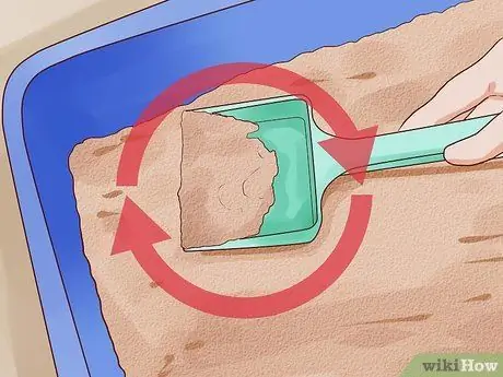 Помет приручить котенка Шаг 10