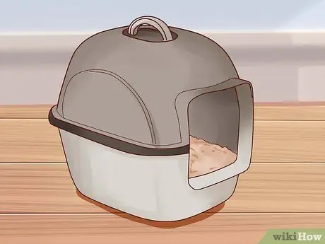 Помет приручить котенка Шаг 2