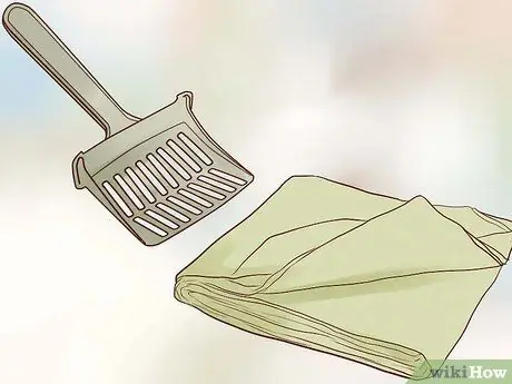 Помет приручить котенка Шаг 4