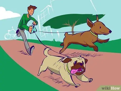 Станьте любителем собак Шаг 8