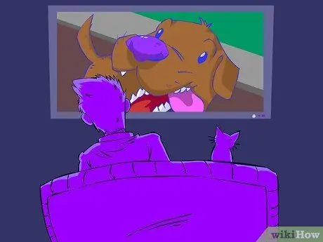 Станьте любителем собак Шаг 3