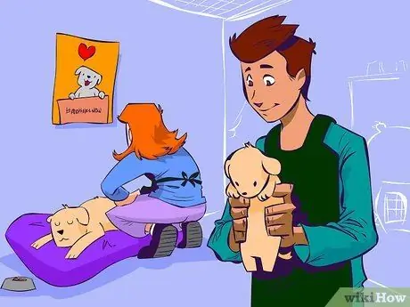 Станьте любителем собак Шаг 6