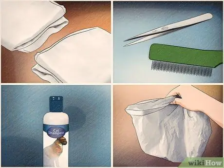 Шампунь для котенка от блох Шаг 1