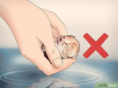 Шампунь для котенка от блох Шаг 10