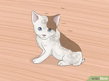 Искупайте котенка Шаг 1