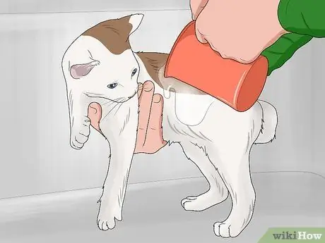 Искупайте котенка Шаг 11