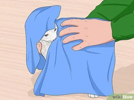 Искупайте котенка Шаг 15