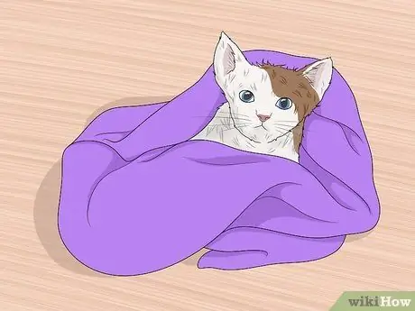 Искупайте котенка Шаг 16