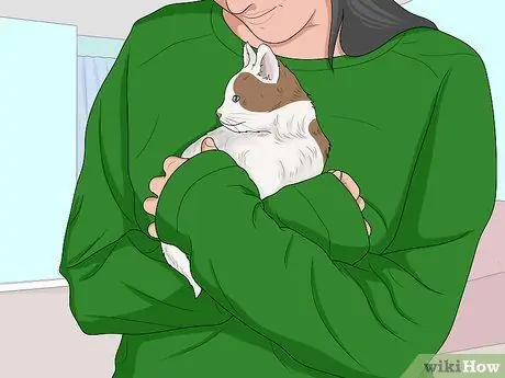 Искупайте котенка Шаг 17