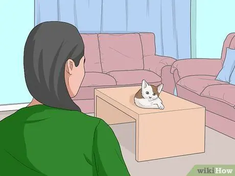 Искупайте котенка Шаг 8