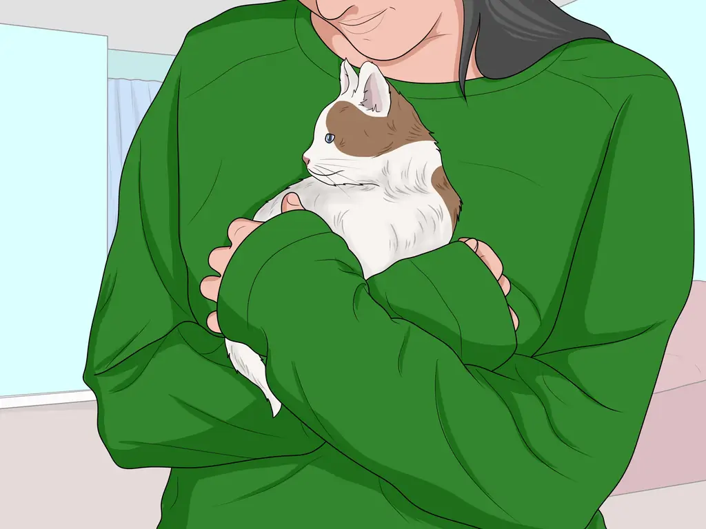 Как купать котенка (с иллюстрациями)