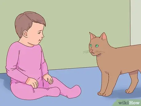 Выберите котенка для дома Шаг 7