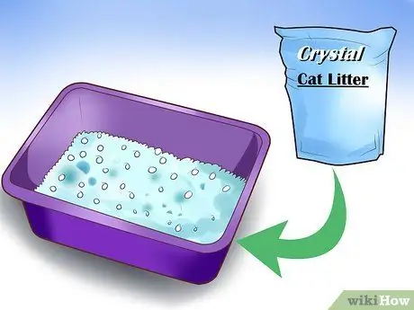 Выберите помет для котенка Шаг 3