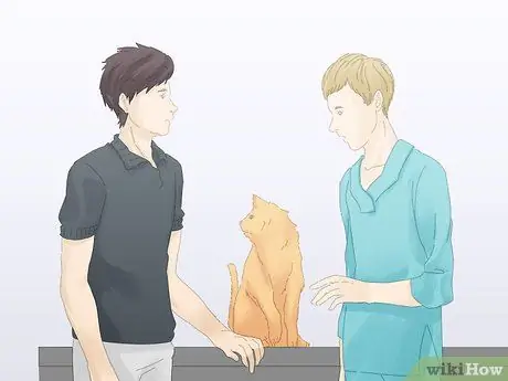 Как предотвратить мочеиспускание кошек на ковре Шаг 7