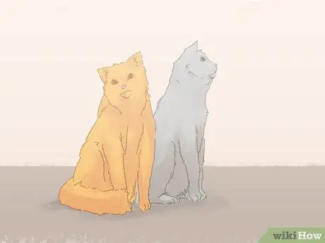 Как предотвратить мочеиспускание кошек на ковре Шаг 9