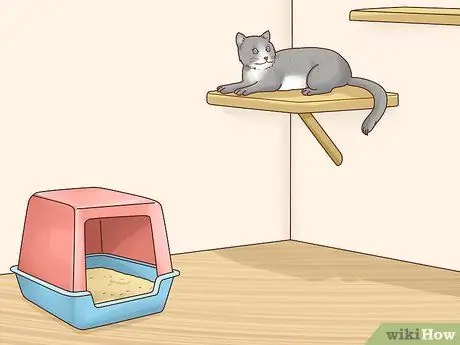 Не пускайте кошек в комнаты, шаг 11