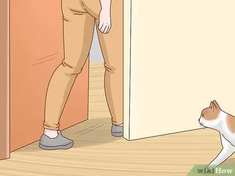 Не пускайте кошек в комнаты, шаг 2