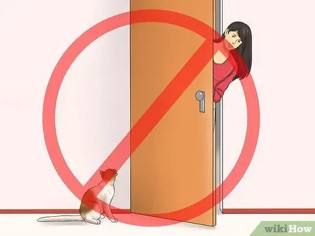 Не дать кошке выбежать за дверь Шаг 2