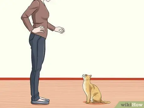 Не дать кошке выбежать за дверь Шаг 5