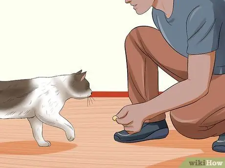 Не дать кошке выбежать за дверь Шаг 8