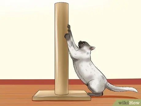 Не дать кошке выбежать за дверь Шаг 9