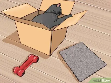 Не позволяйте кошкам жевать электрические шнуры и зарядные устройства Шаг 13