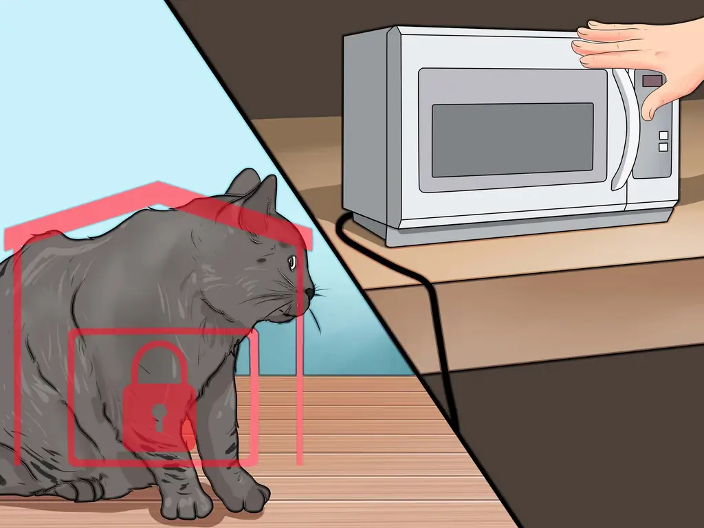 4 способа уберечь кошек от жевания электрических шнуров и зарядных устройств