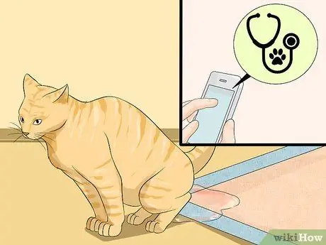 Очистите туалетный лоток Шаг 14