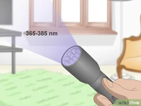 Найдите кошачью мочу с помощью ультрафиолета Шаг 1