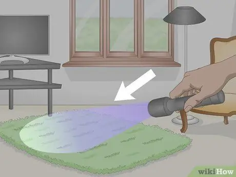 Найдите кошачью мочу с помощью ультрафиолета Шаг 3