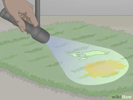 Найдите кошачью мочу с помощью ультрафиолета Шаг 4