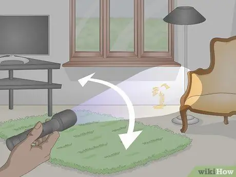 Найдите кошачью мочу с помощью ультрафиолета Шаг 5