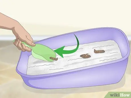 Утилизация кошачьего туалета Шаг 1