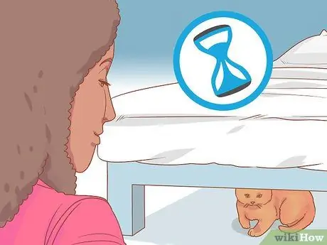 Заставь кошку вылезти из-под кровати Шаг 4