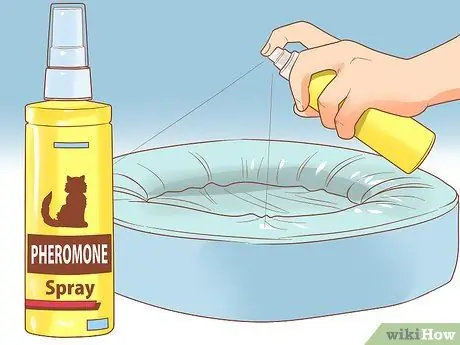 Заставь кошку выйти из-под кровати Шаг 7