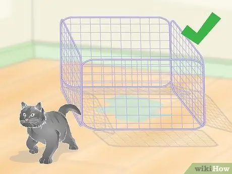 Чистая кошачья моча Шаг 17