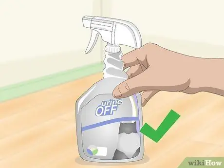 Чистая кошачья моча Шаг 6