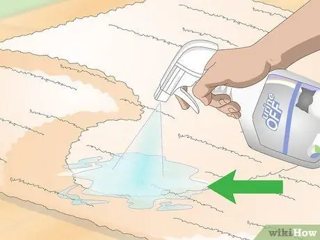 Чистая кошачья моча Шаг 9