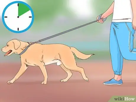 Рабочие упражнения в ваш день, шаг 2