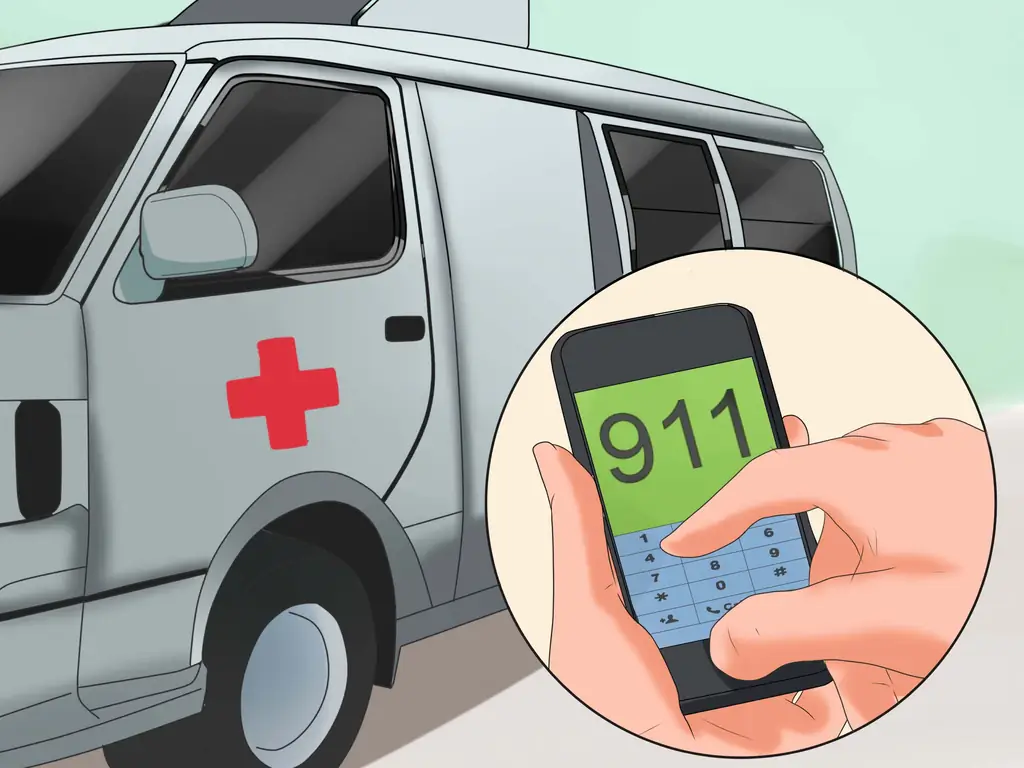 Как вылечить укус ската: 11 шагов (с иллюстрациями)