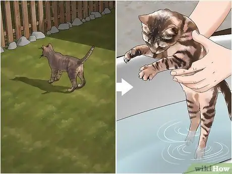 Лечить укусы дубового клеща Шаг 14