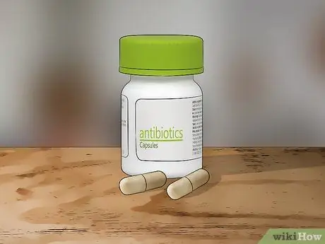 Лечить укусы дубового клеща Шаг 8