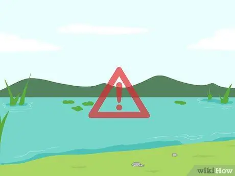 Избавиться от No See Ums Шаг 10