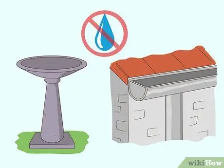 Избавиться от No See Ums Шаг 5