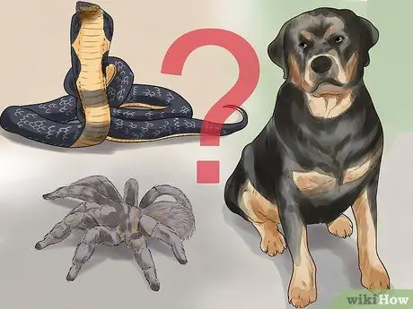 Узнайте, серьезен ли укус домашнего животного Шаг 2