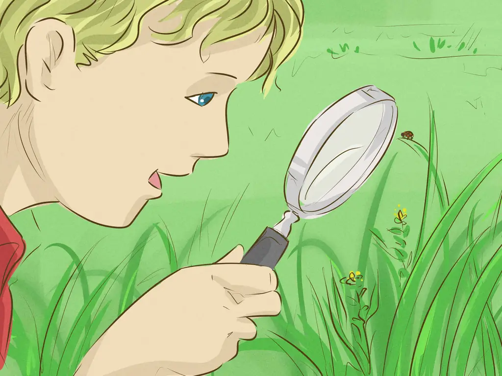 3 способа проводить больше времени на природе с семьей