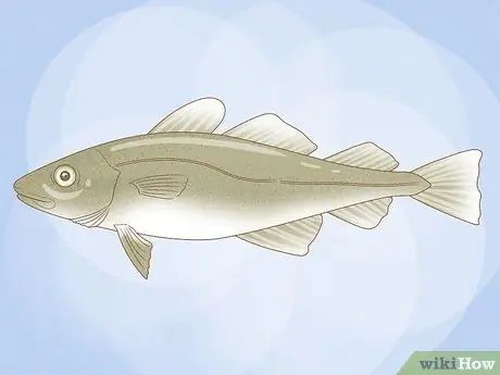 Ешьте рыбу рационально, шаг 6