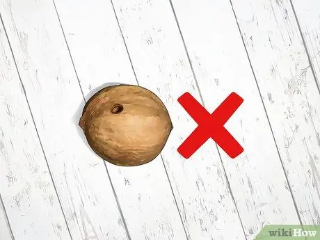 Определите орехи гикори Шаг 16