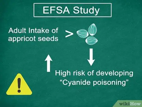Ешьте семена абрикоса, шаг 1