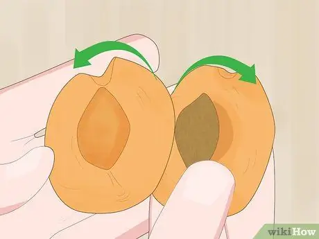 Ешьте семена абрикоса, шаг 5